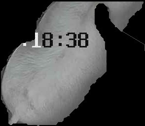 Crop