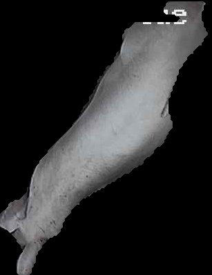Crop