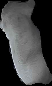 Crop