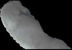 Crop