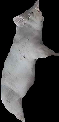 Crop