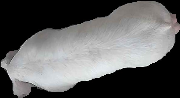 Crop