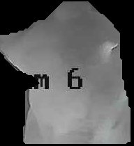 Crop
