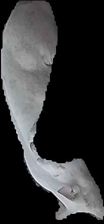Crop
