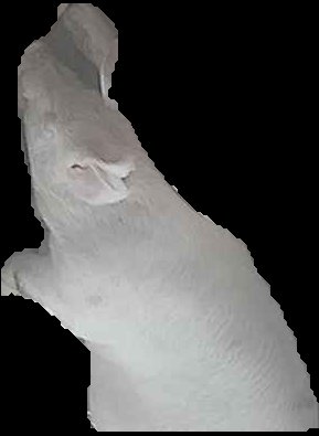 Crop