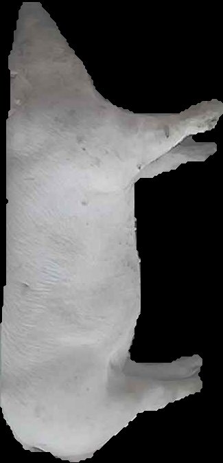 Crop