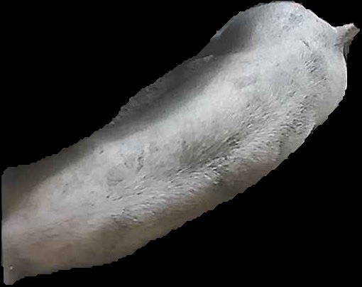Crop