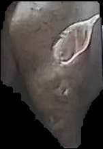 Crop