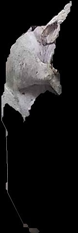 Crop