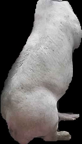 Crop