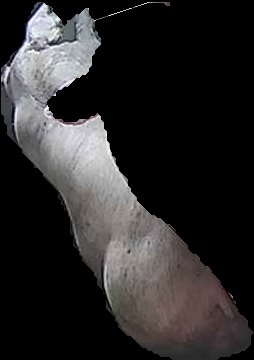 Crop