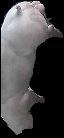Crop