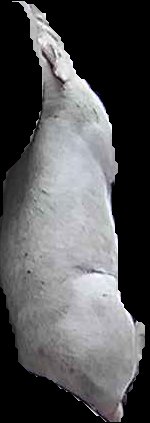 Crop