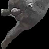 Crop
