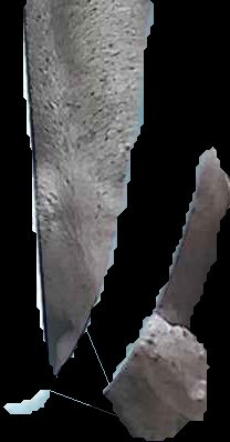 Crop