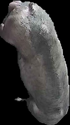Crop