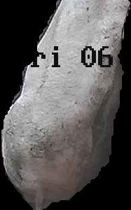 Crop