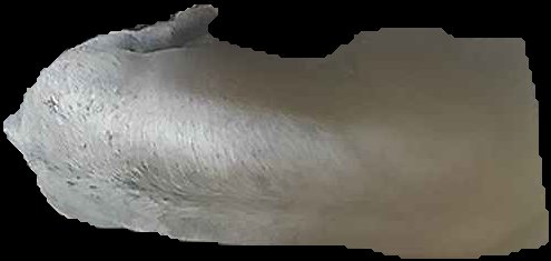 Crop