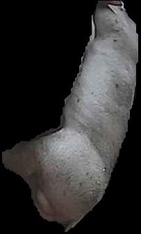 Crop