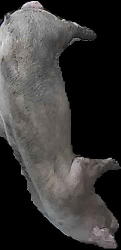 Crop