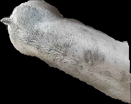 Crop