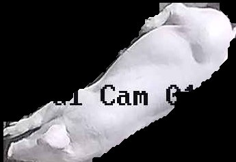 Crop