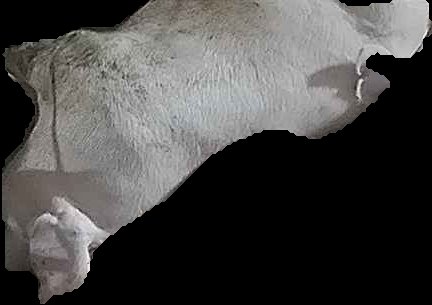 Crop