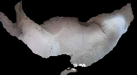 Crop