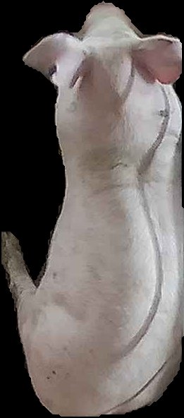 Crop