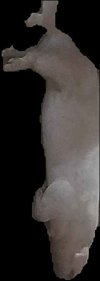 Crop