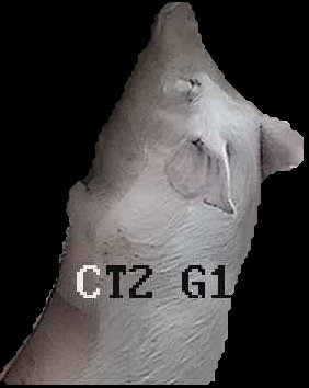 Crop