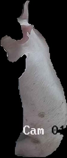 Crop