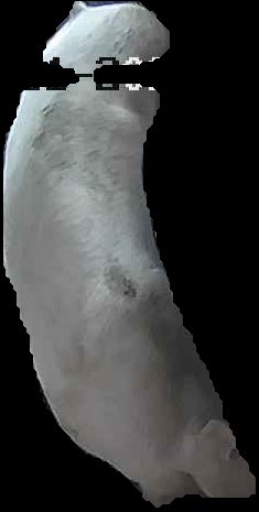 Crop