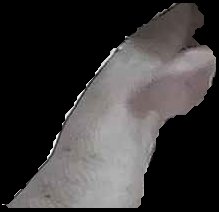 Crop