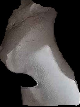Crop