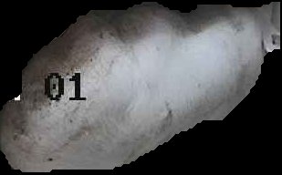 Crop