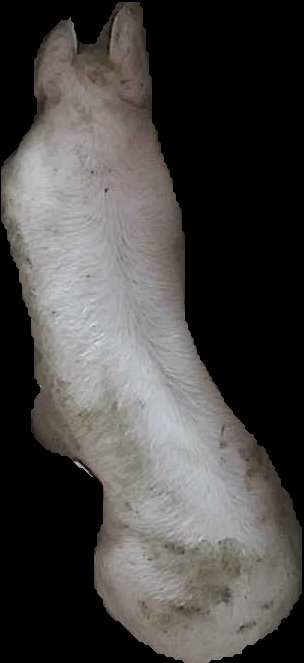 Crop