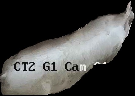 Crop