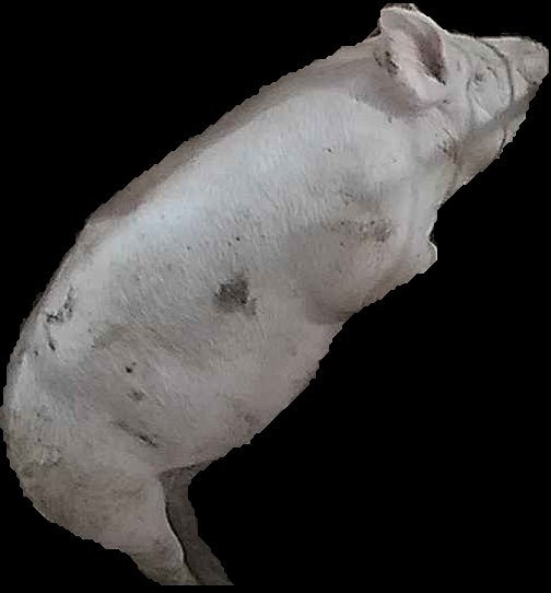 Crop