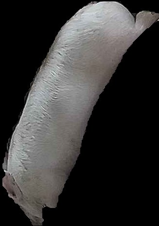 Crop