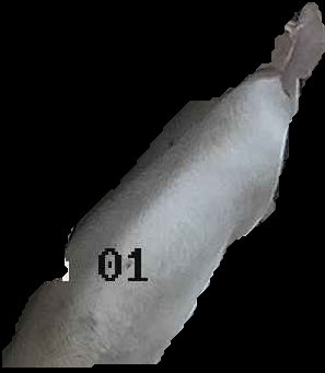 Crop