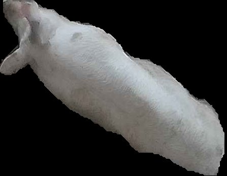 Crop