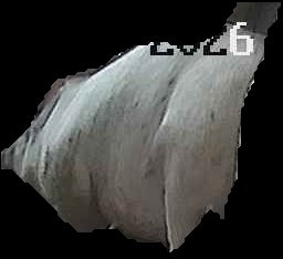 Crop