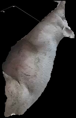 Crop