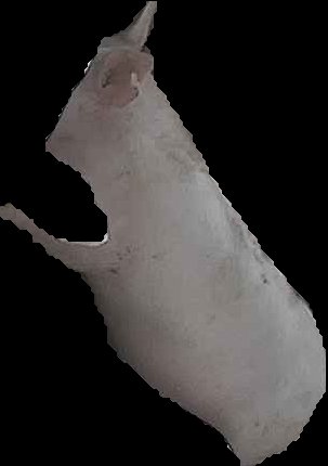 Crop