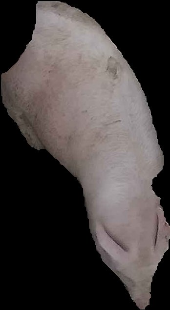 Crop