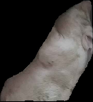 Crop