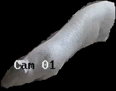Crop