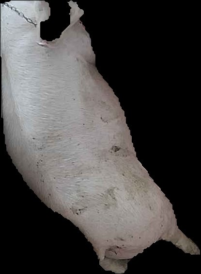 Crop