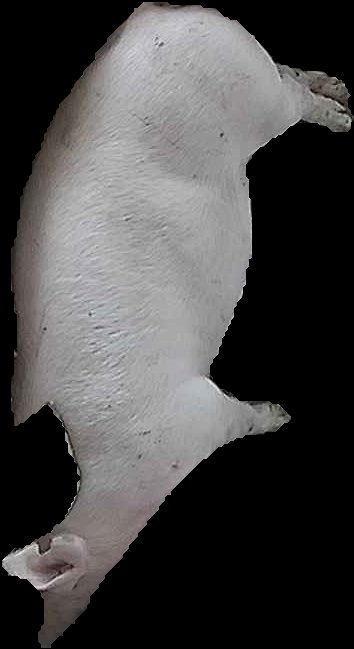 Crop